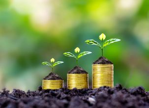 Picture of 3 seedlings growing on coins with each slightly larger than the previous